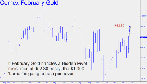 if-february-gold-handles-9524