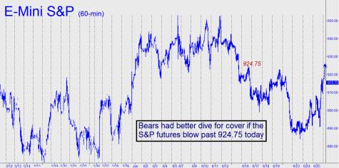 bears-had-better-dive-small