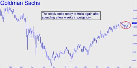 goldman-ready-to-frolic-small