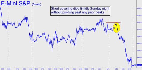 short-covering-died-timidly-small