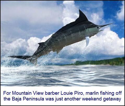 marlin