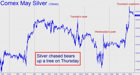 Silver-chased-bears-e1272580916192.jpg