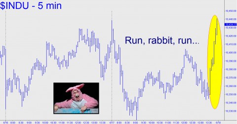 Run, rabbit, run...