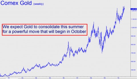 We expect Gold to consolidate this summer for a powerful move that will begin in October