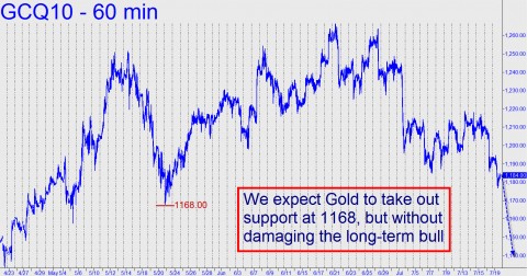 We expect Gold to take out support at 1168, but without damaging the long-term bull