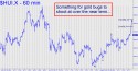 Gold Bugs Index (HUI) price chart with targets