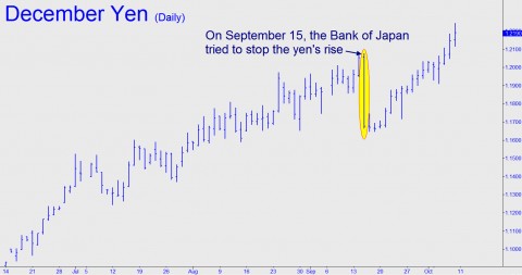 On September 15, the Bank of Japen tried to stop the Yen's rise