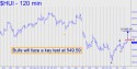 Gold Bugs Index (HUI) price chart with targets
