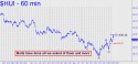 Gold Bugs Index (HUI) price chart with targets