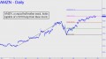 amzn-looks-capable