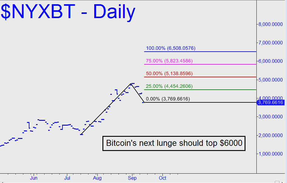 Bitcoin Price Index Nyse Bitcoin To Nz Bank Account - 