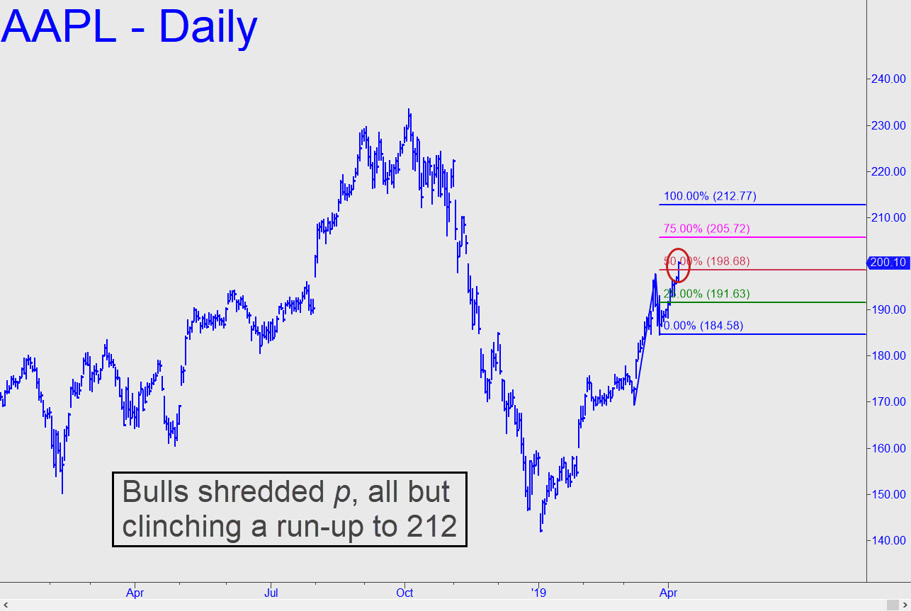 AAPL-bulls-shredded-2.jpg (1286—863)