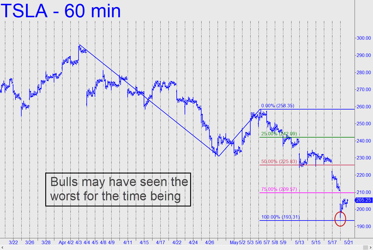 TSLA-bulls-may-have-seen.jpg (1277—856)