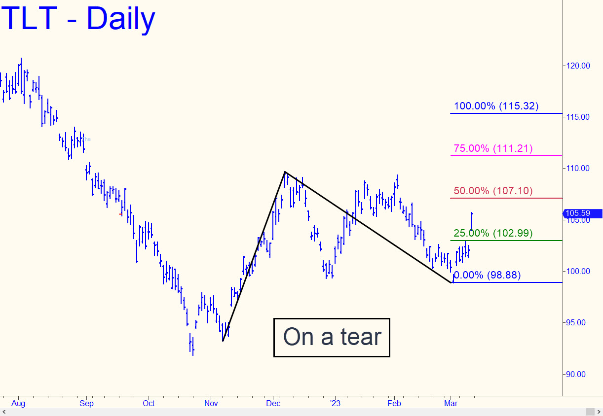 TLT Lehman Bond ETF (Last106.60) Ricks Picks